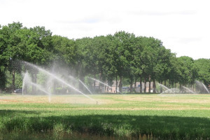 ‘BERICHTEN’ van PvdA Westerveld van 29 mei 2020