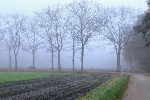 De december-aflevering van onze BERICHTEN