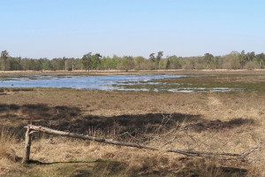 Fractie positief over ontwikkeling Natuurpark nieuwe stijl