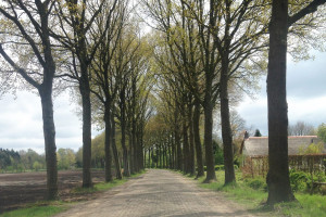 “Kipperegel” gaat op de schop.