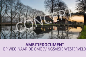 Ambitiedocument Omgevingsvisie