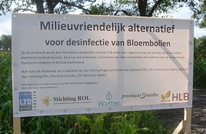 Milieuvriendelijk alternatief bollenteelt (590 x 387)