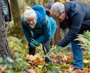 Twee deelnemers bekijken een grote zwam